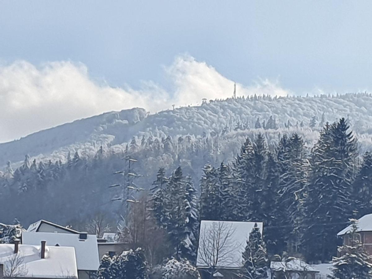 Domek Pod Krolowem Ustroń Exterior foto